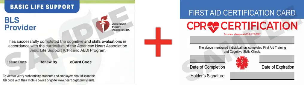 Sample American Heart Association AHA BLS CPR Card Certification and First Aid Certification Card from CPR Certification Dallas